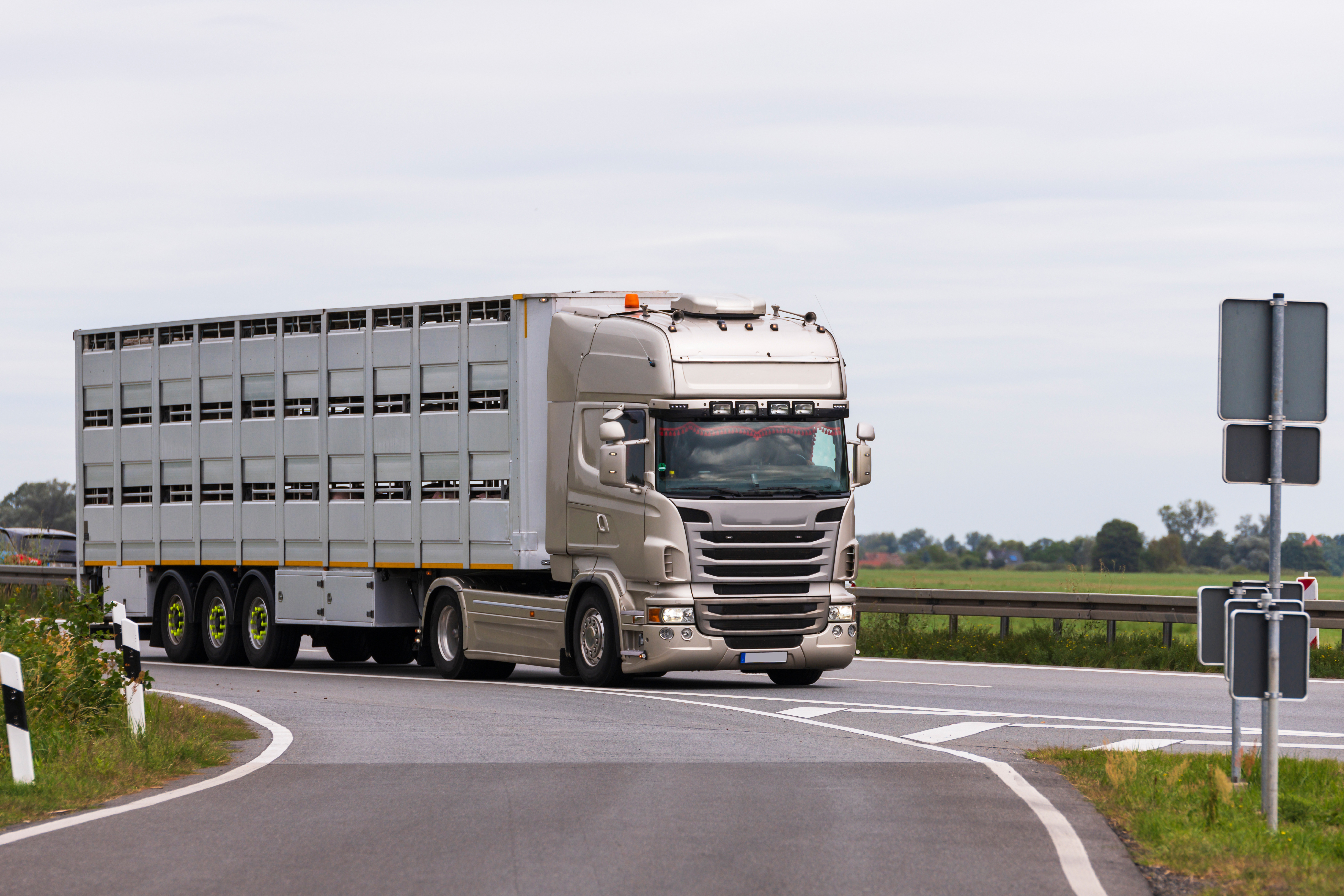 Vrachtwagen met veetransport op weg naar Spanje, symbool voor stijgende export van Nederlandse biggen in 2025
