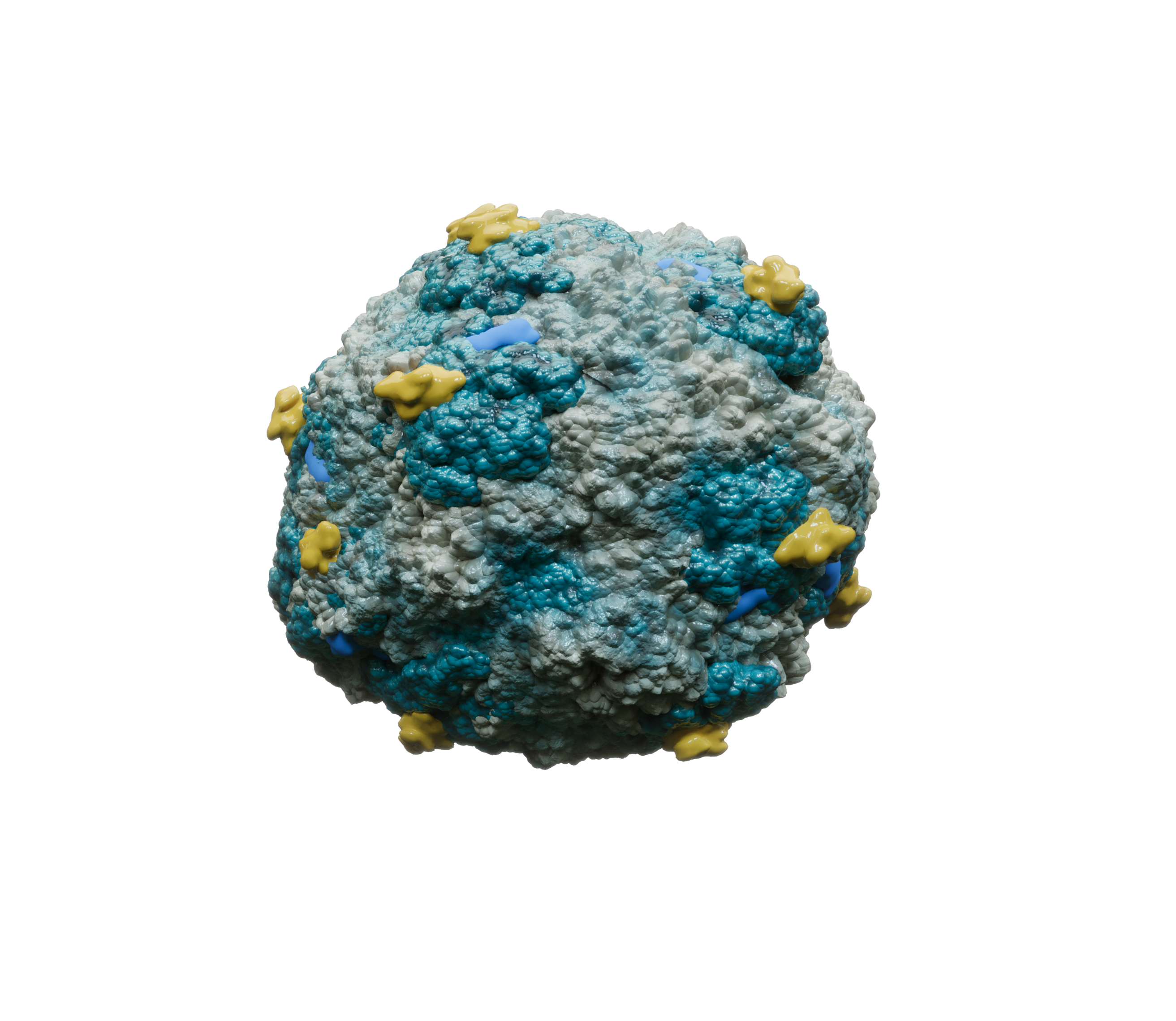 Visual_PCV2virus