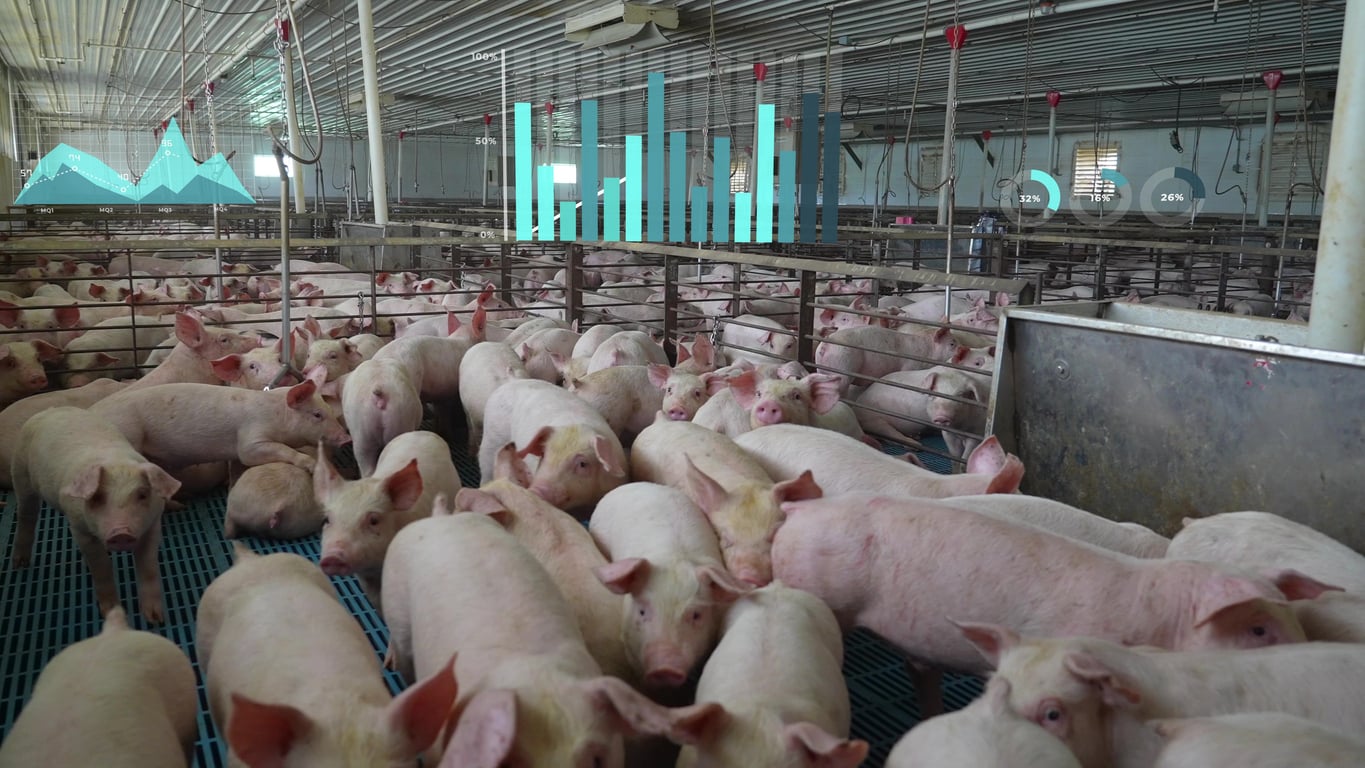 pork production by country