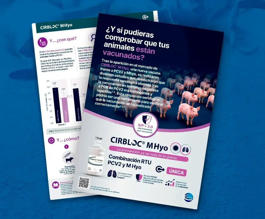infografia-kit-elisa-image-thumb