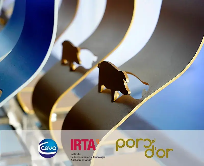 Premio Ceva One Health - Premio Porc d'Or