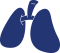 Lesiones pulmonares imagen 01